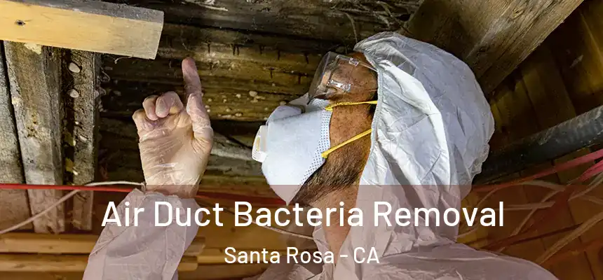Air Duct Bacteria Removal Santa Rosa - CA