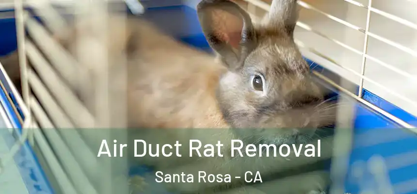 Air Duct Rat Removal Santa Rosa - CA