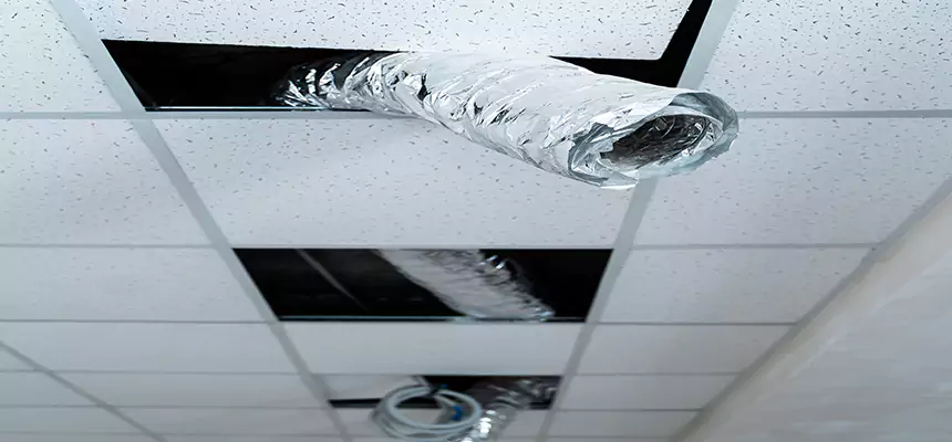 Affordable HVAC Sanitizing After Pest Removal in Santa Rosa