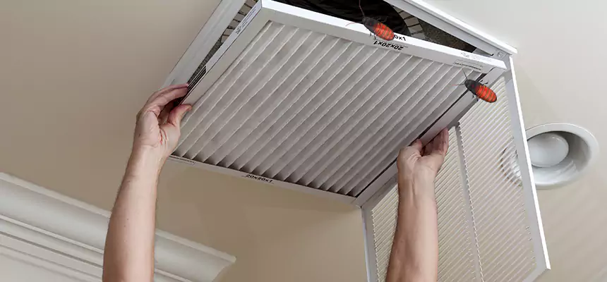Our Insect Removal from Air Ducts Services in Santa Rosa, CA