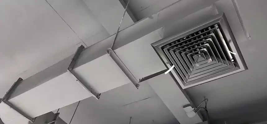 Our Pest Removal From Ducts Services in Santa Rosa, CA