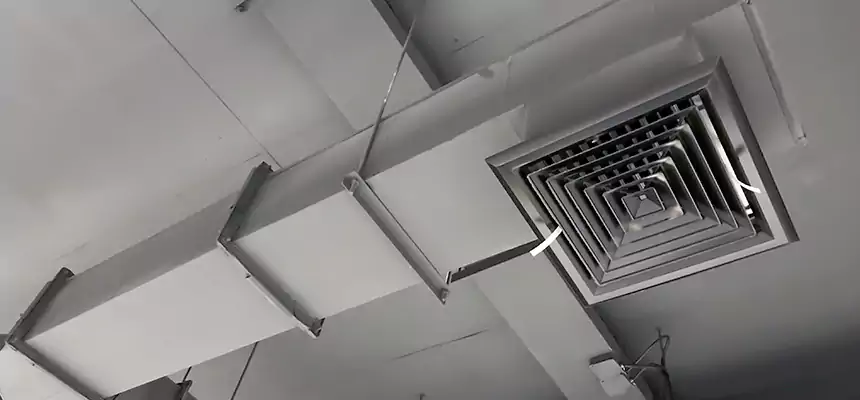 Our Rodent Droppings In Vents Services in Santa Rosa, CA