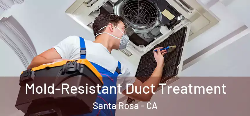  Mold-Resistant Duct Treatment Santa Rosa - CA
