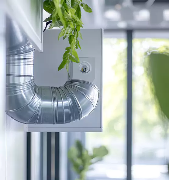 Professional Eco-Safe Dryer Vent Cleaning in Santa Rosa, CA