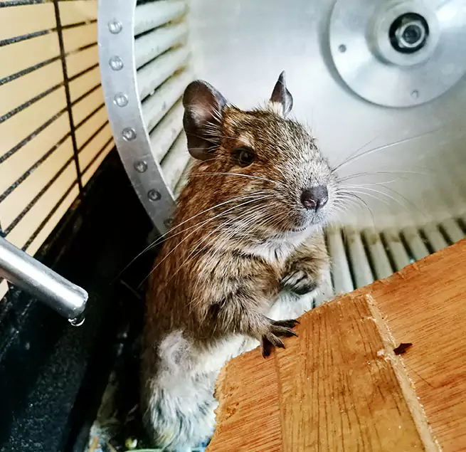 Why Homeowners & Businesses Trust Us Santa Rosa, CA