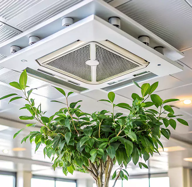 Why Homeowners & Businesses Trust Us in Santa Rosa, CA?