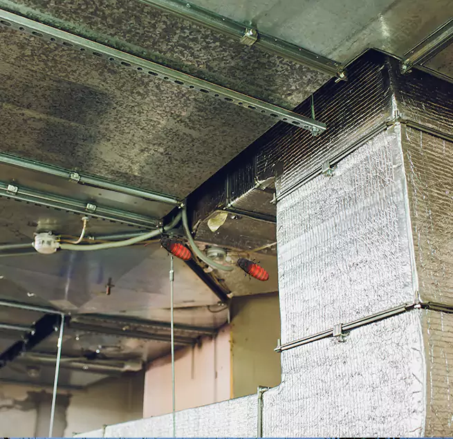 Why Homeowners & Businesses Trust Us Santa Rosa, CA?